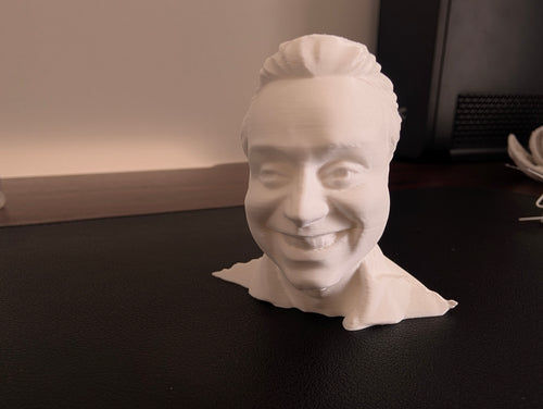 Potrait Sculpture